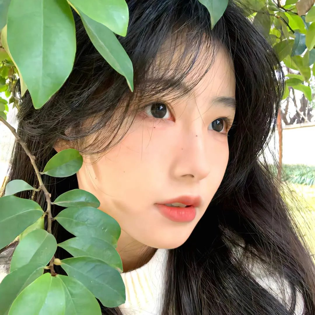 恶补青春